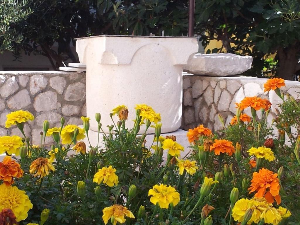 Apartments Franjo Mali Lošinj Eksteriør bilde